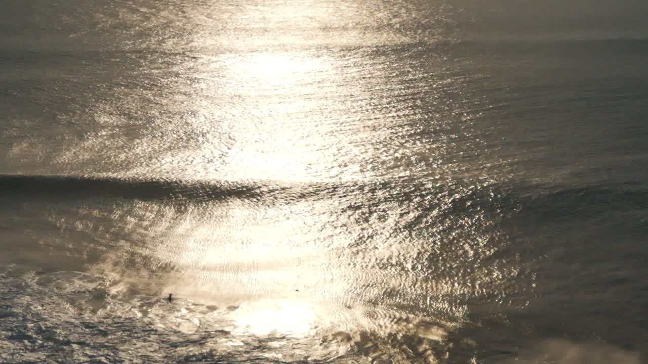 Birds flying above the ocean.