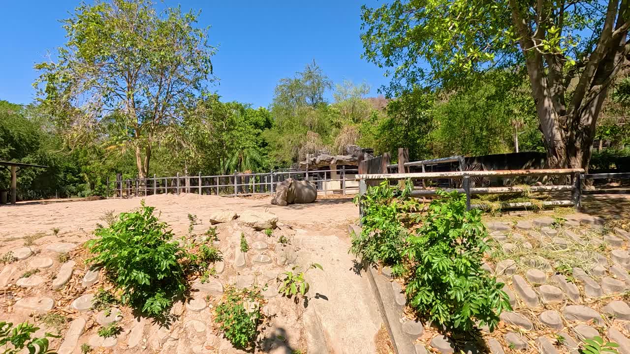 푸른 하늘과 울창한 초록색으로 둘러싸인 khao kheow 동물원의 자연주의적 인 구역에 있는 코소