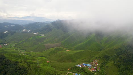 disparo en círculo alto sobre una plantación de té atravesando la niebla en el campo de brinchang