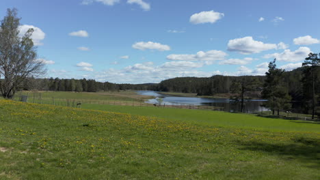 Aerial-view-low,-over-a-field,-towards-a-river,-on-a-sunny,-spring-day,-in-Birkeland,-Agder,-South-Norway---dolly,-drone-shot