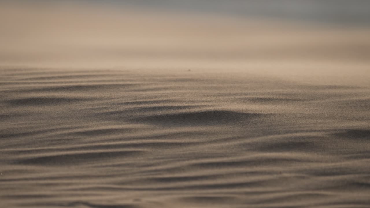 사막 해가 뜨고 해가 지고