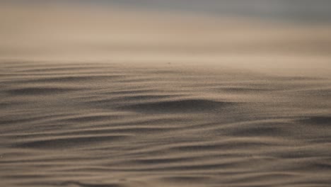 desert beach sunrise/sunset