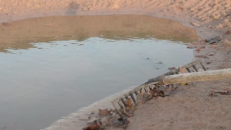 Búnker-De-Arena-Y-Rastrillo-Del-Campo-De-Golf