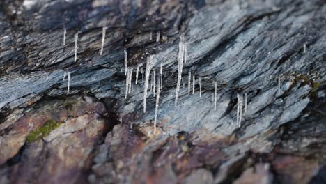 Thin-fragile-icicles-hang-from-the-stone-ceiling
