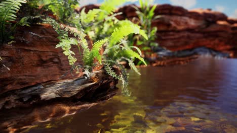estanque dorado tropical con rocas y plantas verdes