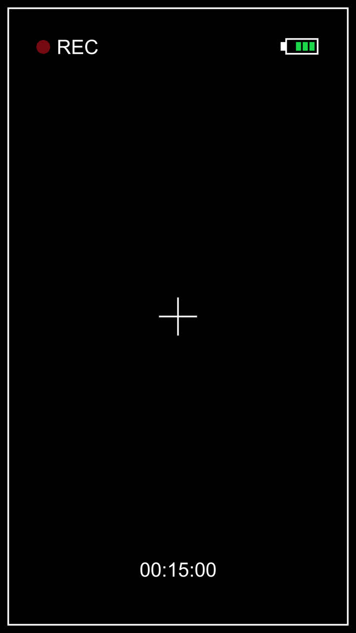 Digital Camera Recording Interface with REC Indicator and Timestamp