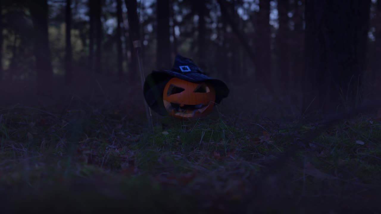 zoom en la toma de una calabaza con sombrero de halloween y palo de escoba en el bosque con niebla por todas partes