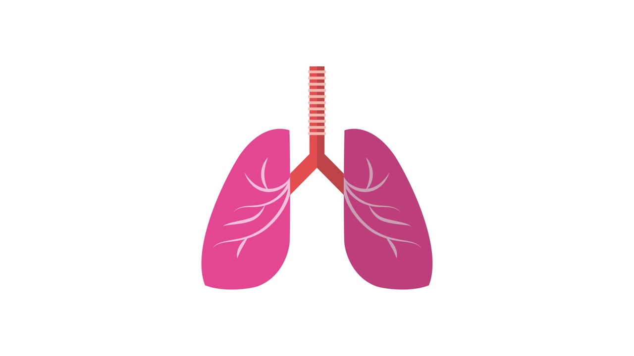 Illustrazione animata di polmoni umani e sistema respiratorio che respira