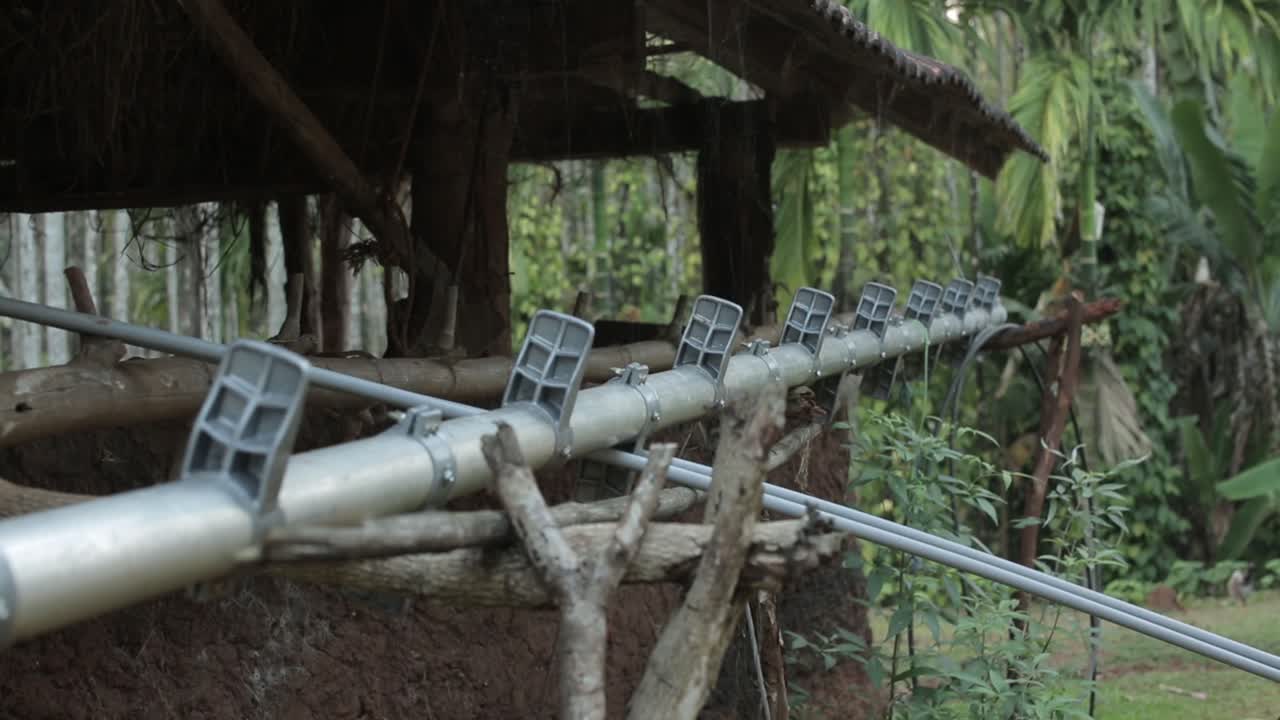 escalera de escalada de árboles de metal en una casa de madera en un bosque tropical