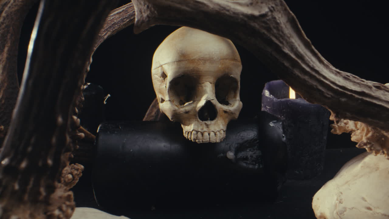 Skull, Antlers, and Candles