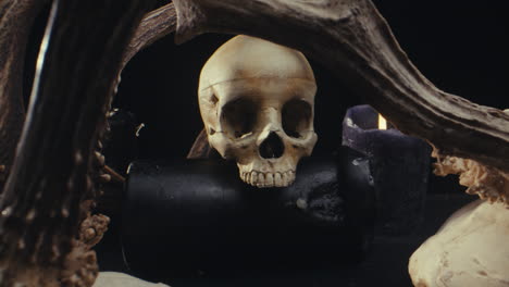 skull, antlers, and candles