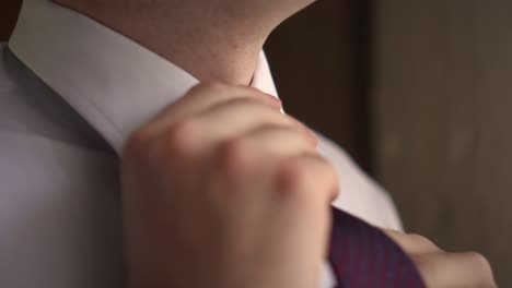 el hombre ajusta la corbata y el collar 02