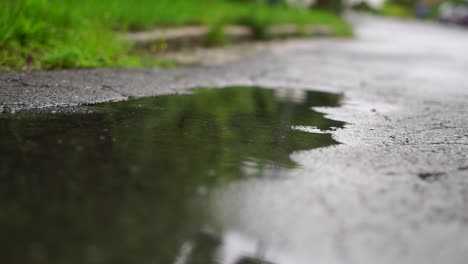 charco de lluvia en la calle