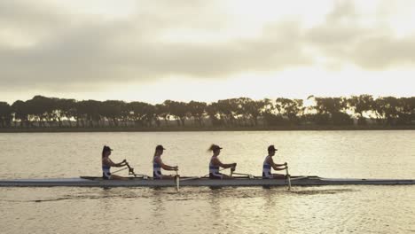 female rowing team training on a river