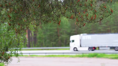 rama de pino húmedo con camiones borrosos que transportan mercancías en segundo plano