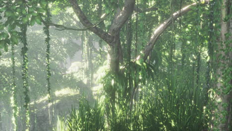tropical jungles of southeast asia in august