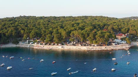 Multiple-moored-boats-on-small-bay-next-to-dense-pine-forest,-sunny-day