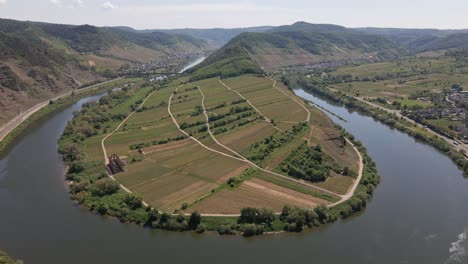 Toma-Aérea-Giratoria-Del-Bucle-Bremm-Moselle-Con-Viñedos-En-El-Medio