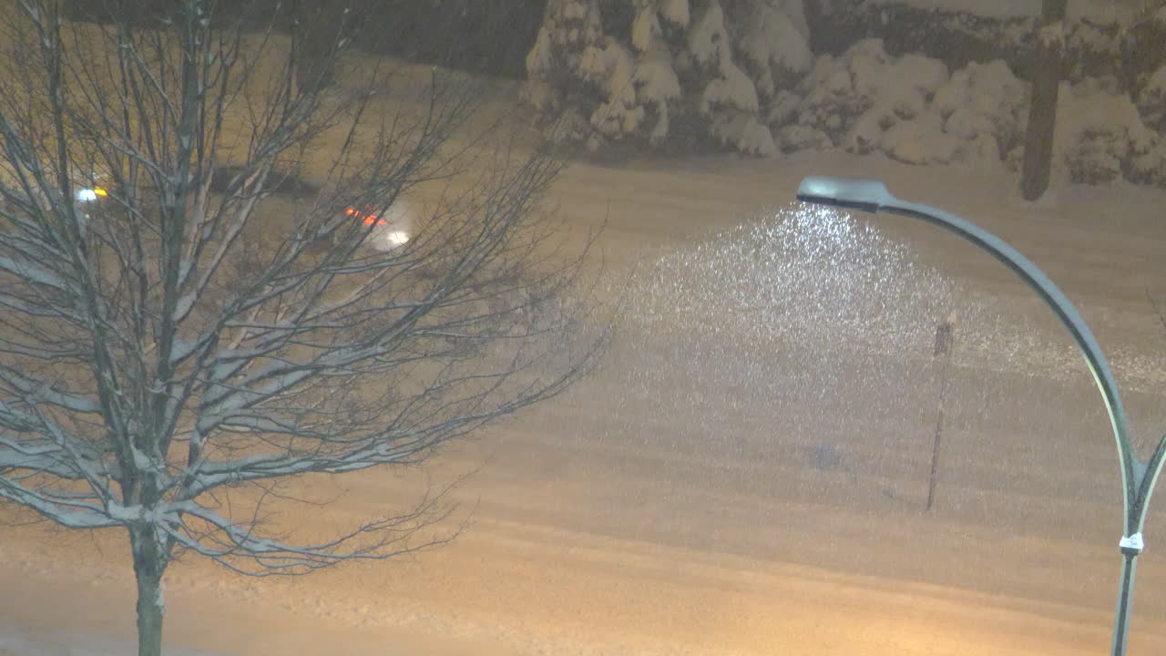 Silent Snowfall: Streetlights Illuminate a Winter Night’s Heavy Snowstorm