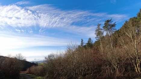 rural woodland valley blue sky clouds timelapse above forest fir trees wilderness