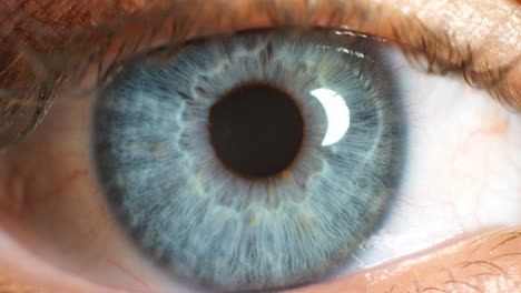 Ojos-De-Color-Azul-Y-Enfoque,-Visión