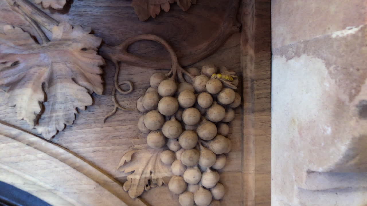 bodega gotica는 루에다 시에서 여러 세대에 걸쳐 포도를 생산해 온 가족 기업입니다.