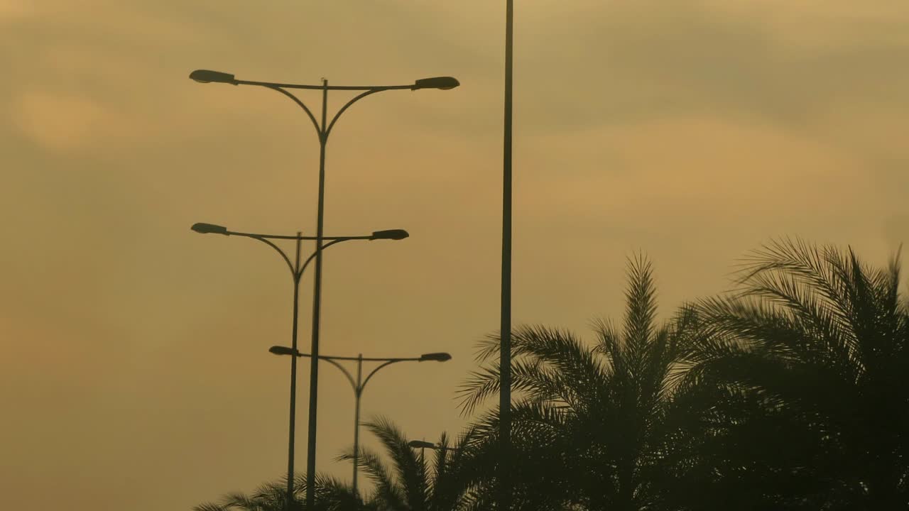 silueta de palmeras y farolas contra el cielo anaranjado del atardecer