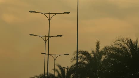 silueta de palmeras y farolas contra el cielo anaranjado del atardecer