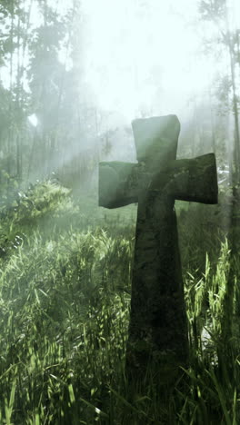 foggy forest cross