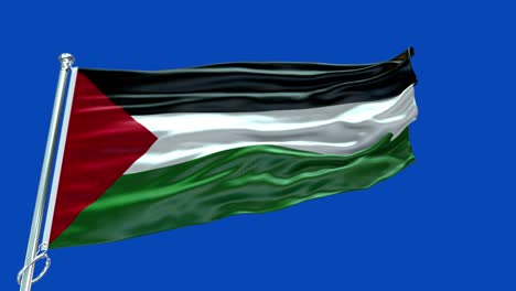 4k highly detailed flag of palestine - palestine flag high detail - national flag palestine wave pattern loopable elements