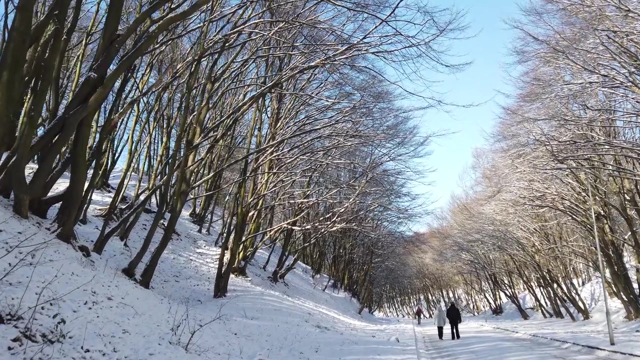 Parco invernale. Neve e sole