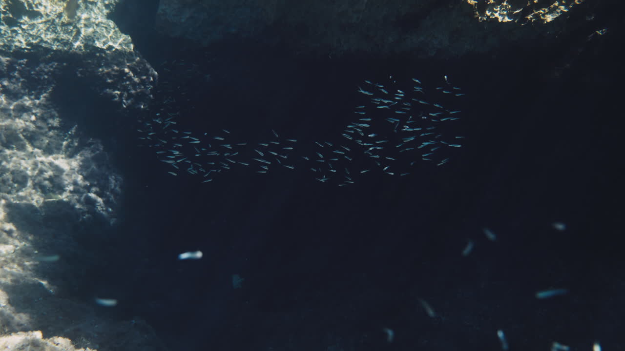 подводная пещера с рыбой