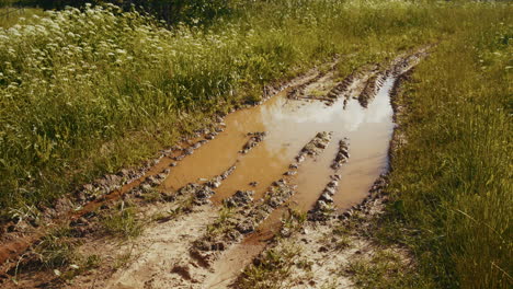 Muddy Country Road with Puddle