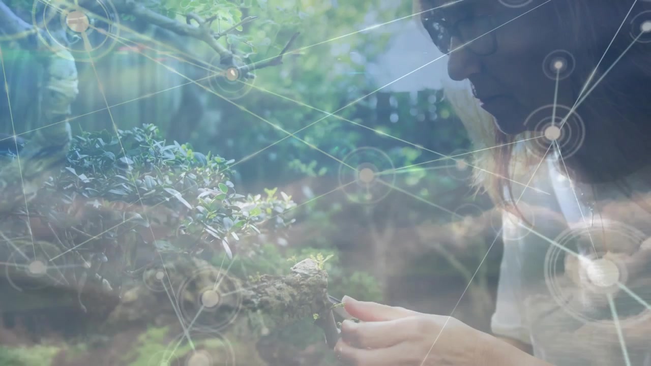 Donna che tocca il muschio di un bonsai, causando la sovrapposizione di nodi di rete tecnologici mentre regola l'angolazione di un ramo