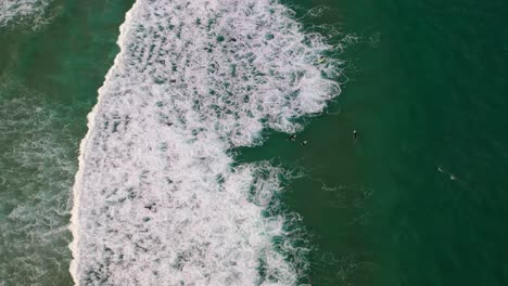 sydney - bondi beach surf