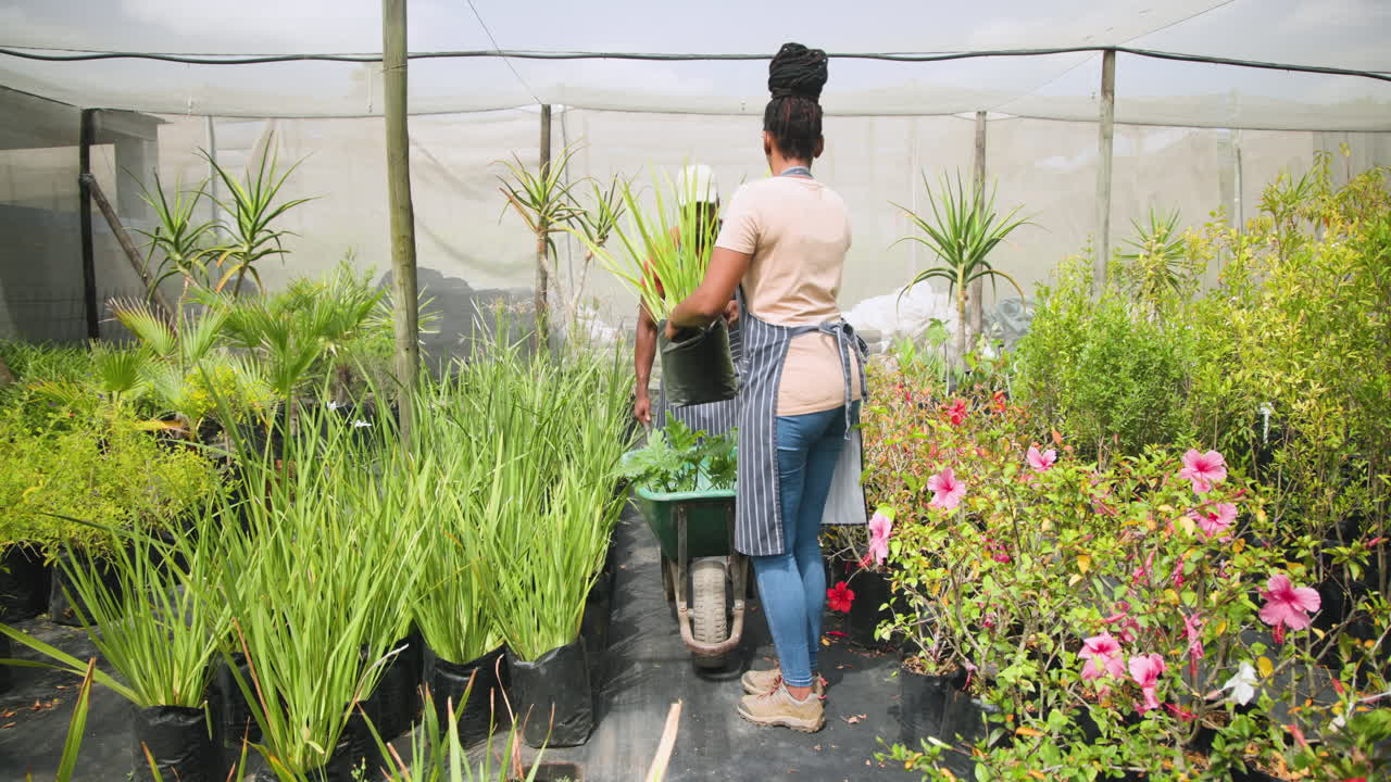 African woman in apron using tablet while walking in plant nursery greenhouse