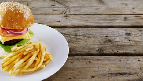 Hamburger-and-french-fries-in-plate