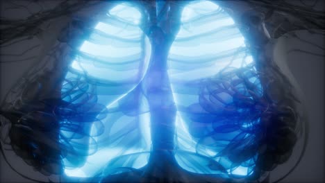 human lungs radiology exam