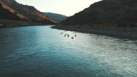 Un-Vibrante-Grupo-De-Flamencos-Adorna-Un-Río-Caudaloso-En-Los-Andes-Argentinos,-Creando-Una-Fascinante-Escena-De-Vida-Silvestre-Andina.