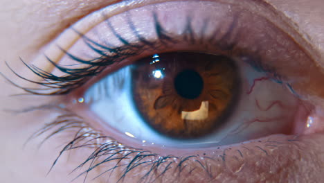 A-close-up-macro-shot-of-a-human-female-eye,-with-a-flashlight-shining-over-it,-mimicking-an-eye-exam-or-a-sobriety-test