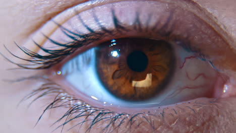 una toma macro en primer plano de un ojo femenino humano, con una linterna brillando sobre él, imitando un examen oftalmológico o una prueba de sobriedad