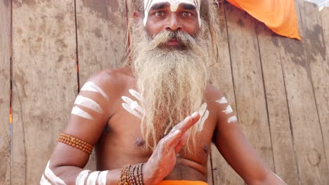 portrait of a holy indian sadhu