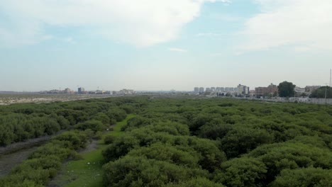 Vuelo-Aéreo-Sobre-Una-Exuberante-Vegetación-Que-Se-Dirige-Hacia-La-Ciudad-De-Dammam,-Arabia-Saudita