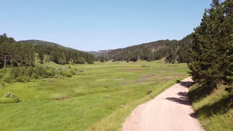 Enthüllung-Einer-Wunderschönen-Bergwiese-Tief-In-Den-Schwarzen-Hügeln-Von-South-Dakota