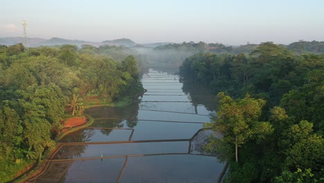 misty rice paddies in a tropical valley