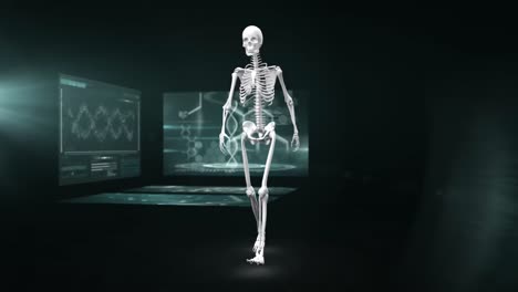 Animation-Eines-Wandelnden-Menschlichen-Skeletts-Mit-Wissenschaftlerbildschirm