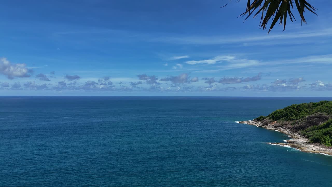 Tropical Beach View with Palm Trees