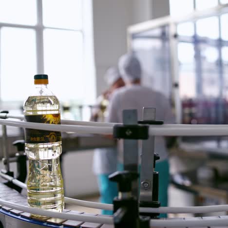 factory conveyor of food industry