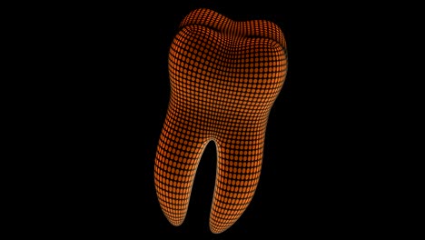 tooth. looping footage has 4k resolution.