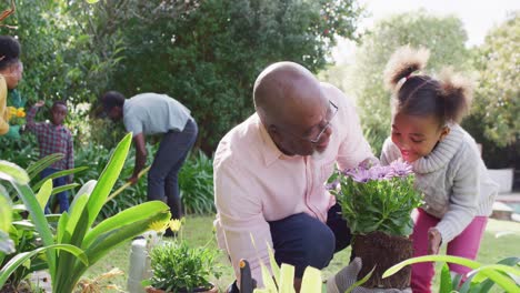 African-american-family-working-in-garden-on-sunny-day